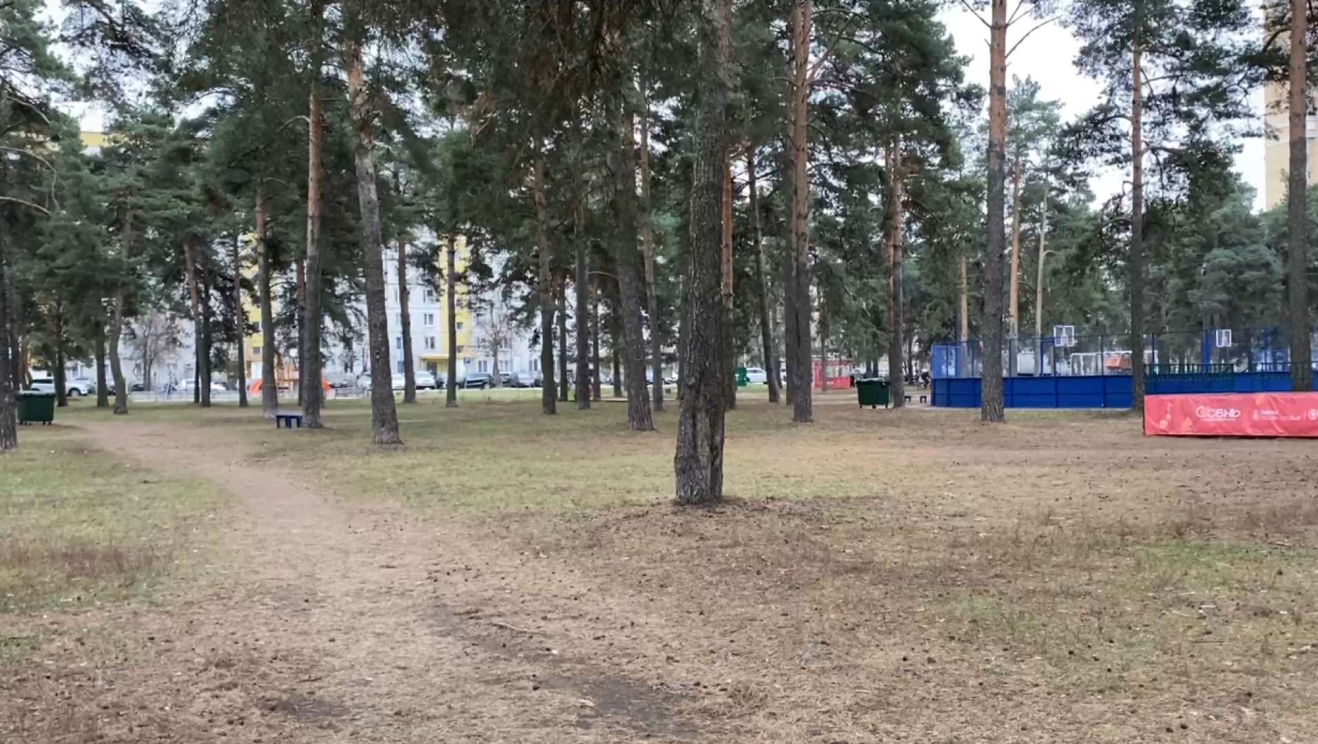 котельники, выездная администрация, благоустройство, лесопарк,