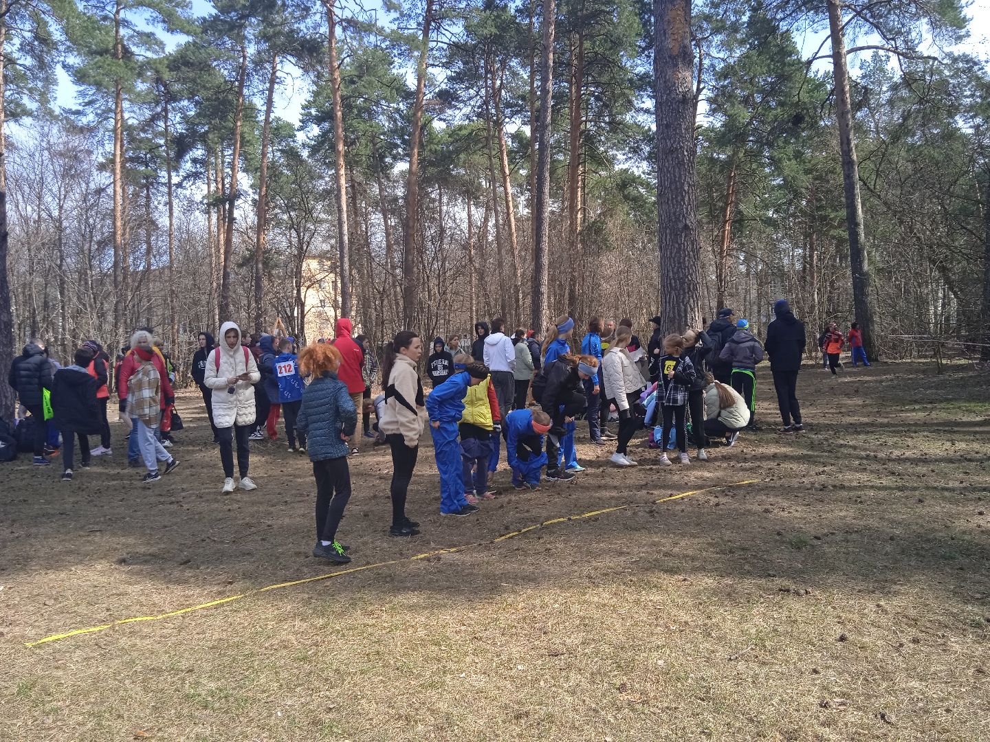 чемпионат, легкоатлетический, кросс, первенство