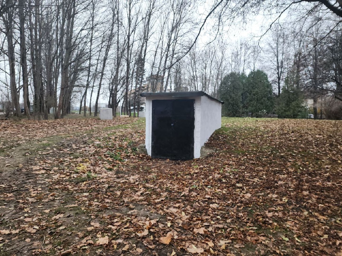 Пущино, серпухов, благоустройство, вертикалки,