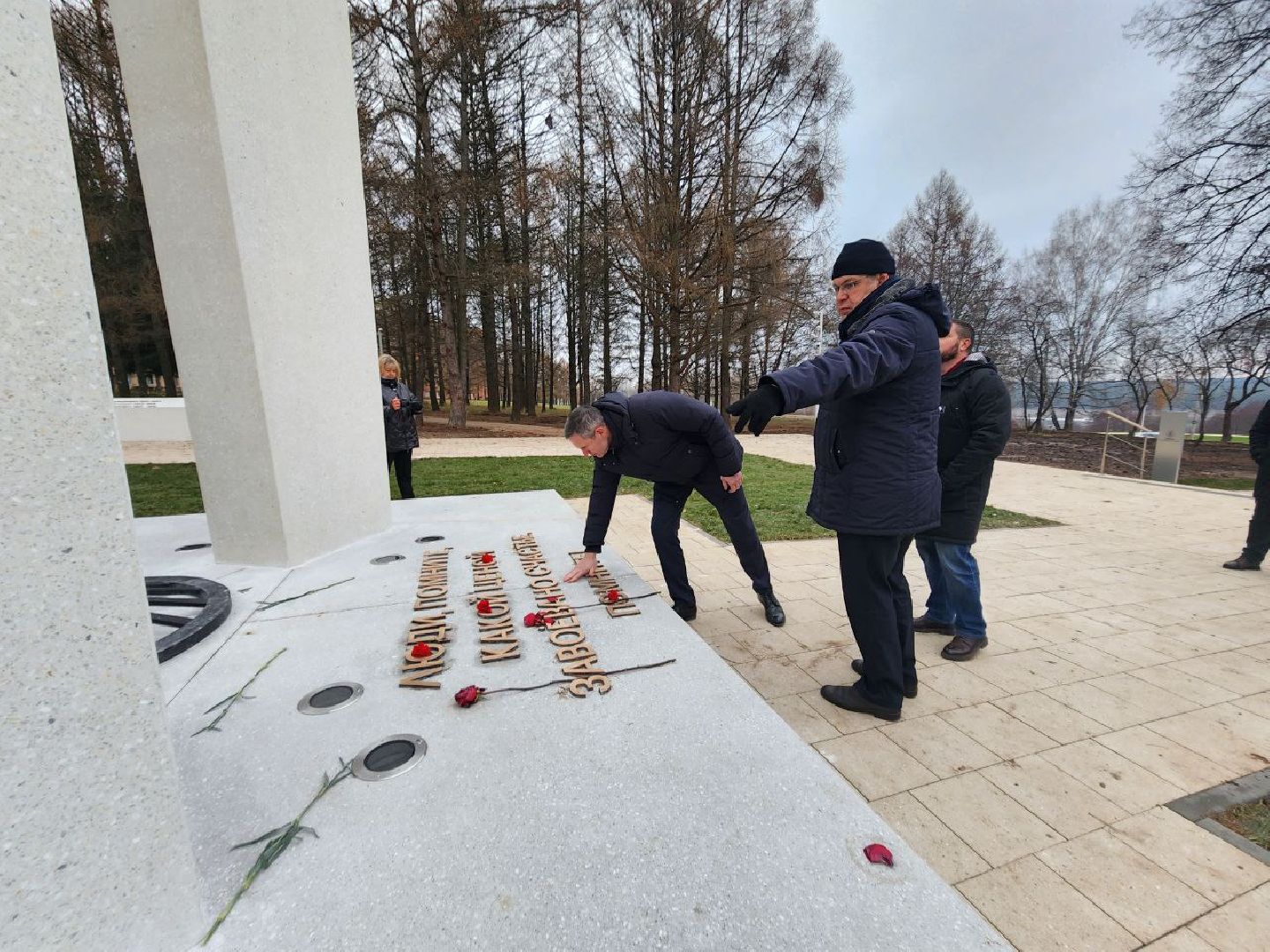 Пущино, серпухов, благоустройство, вертикалки,