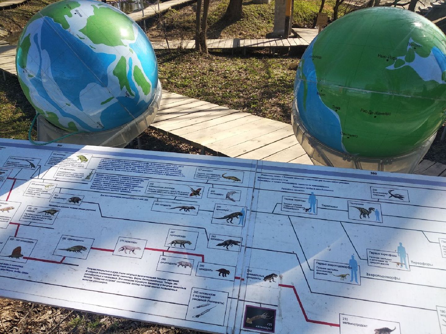 Дмитров, Парк Леко, Новосиньково