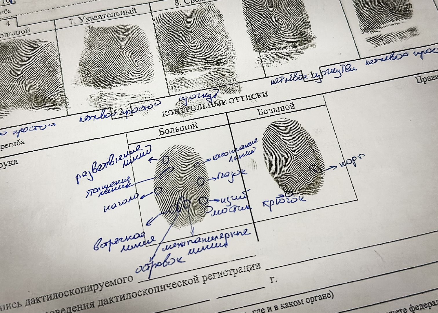 Клин, общество, дети, образование, профориентация, криминалистика,