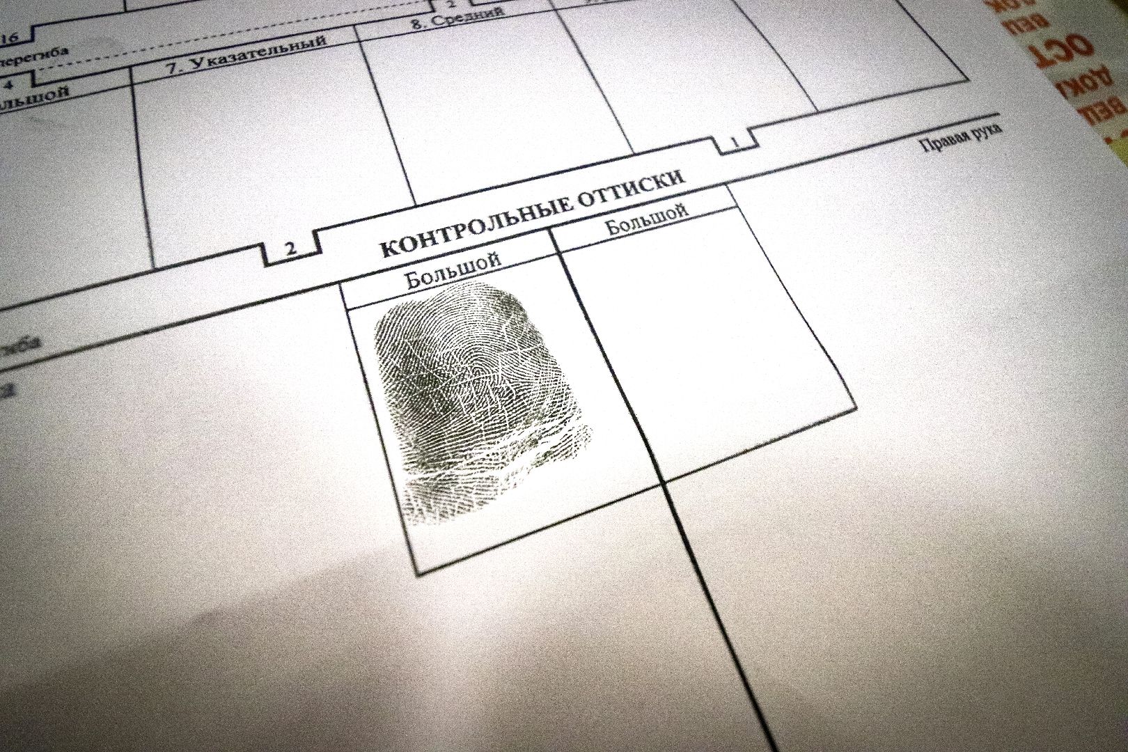 Клин, общество, дети, образование, профориентация, криминалистика,