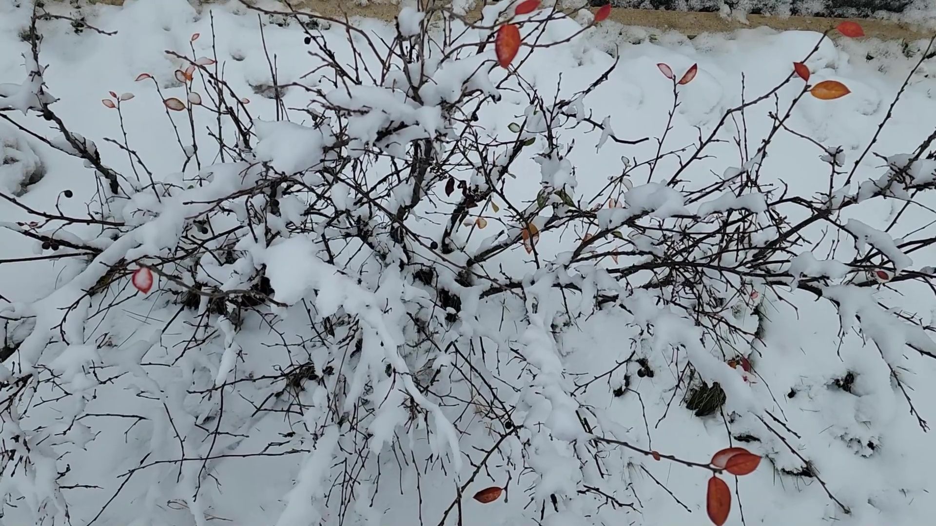 Реутов, вертикалки, снегопад, уборка снега, лепим снеговика,