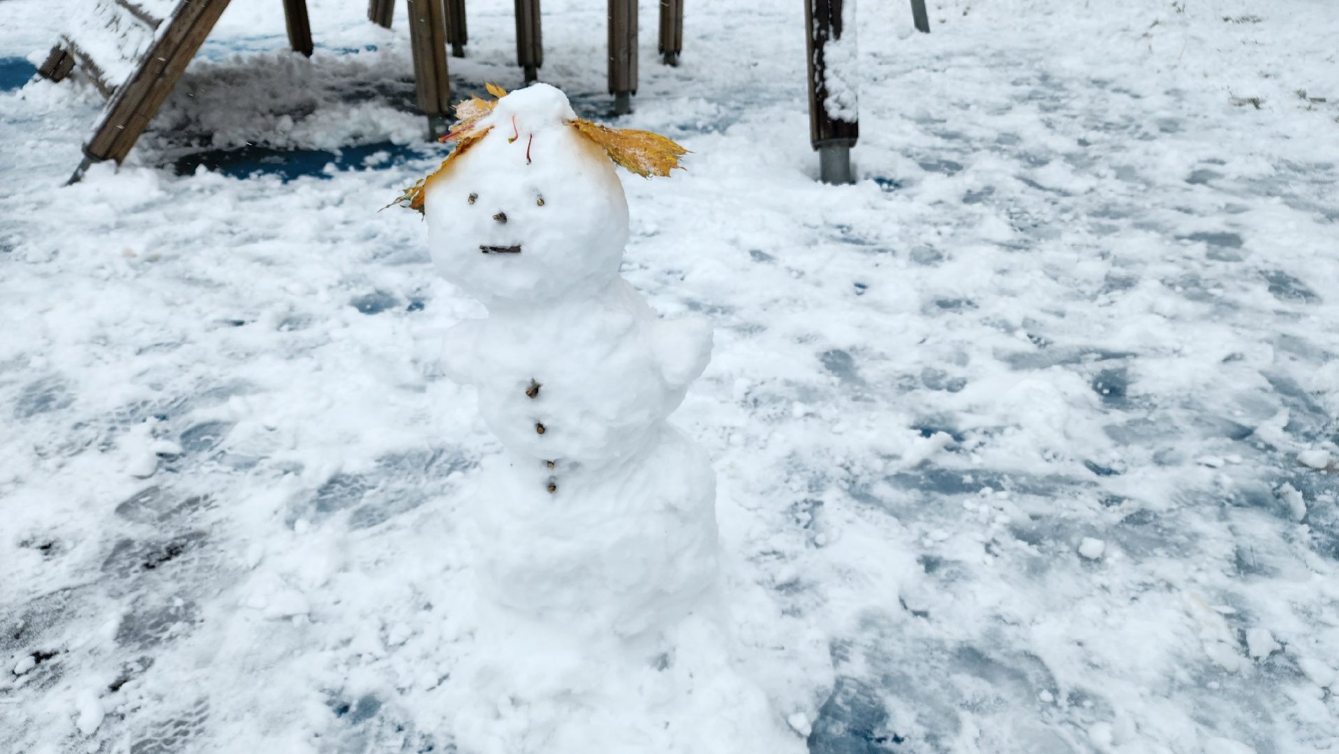 Реутов, вертикалки, снегопад, уборка снега, лепим снеговика,