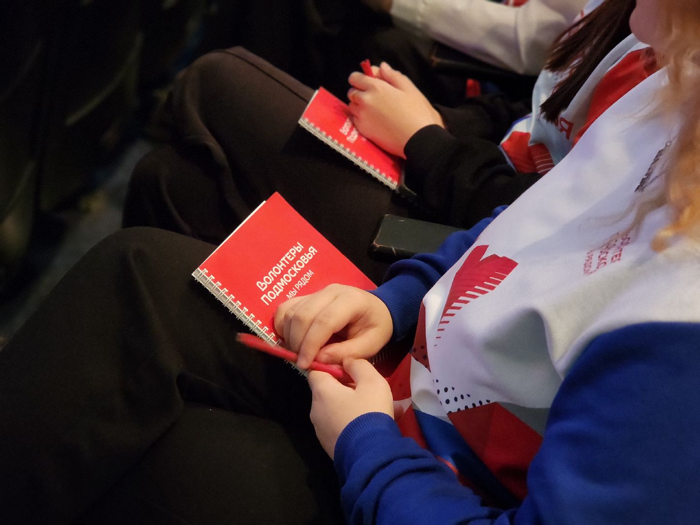 воскресенск, волонтеры, волонтеры подмосковья,