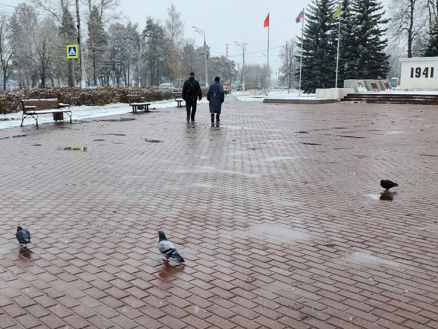 красноармейск, городской округ пушкинский, уборка снега, вертикалки,