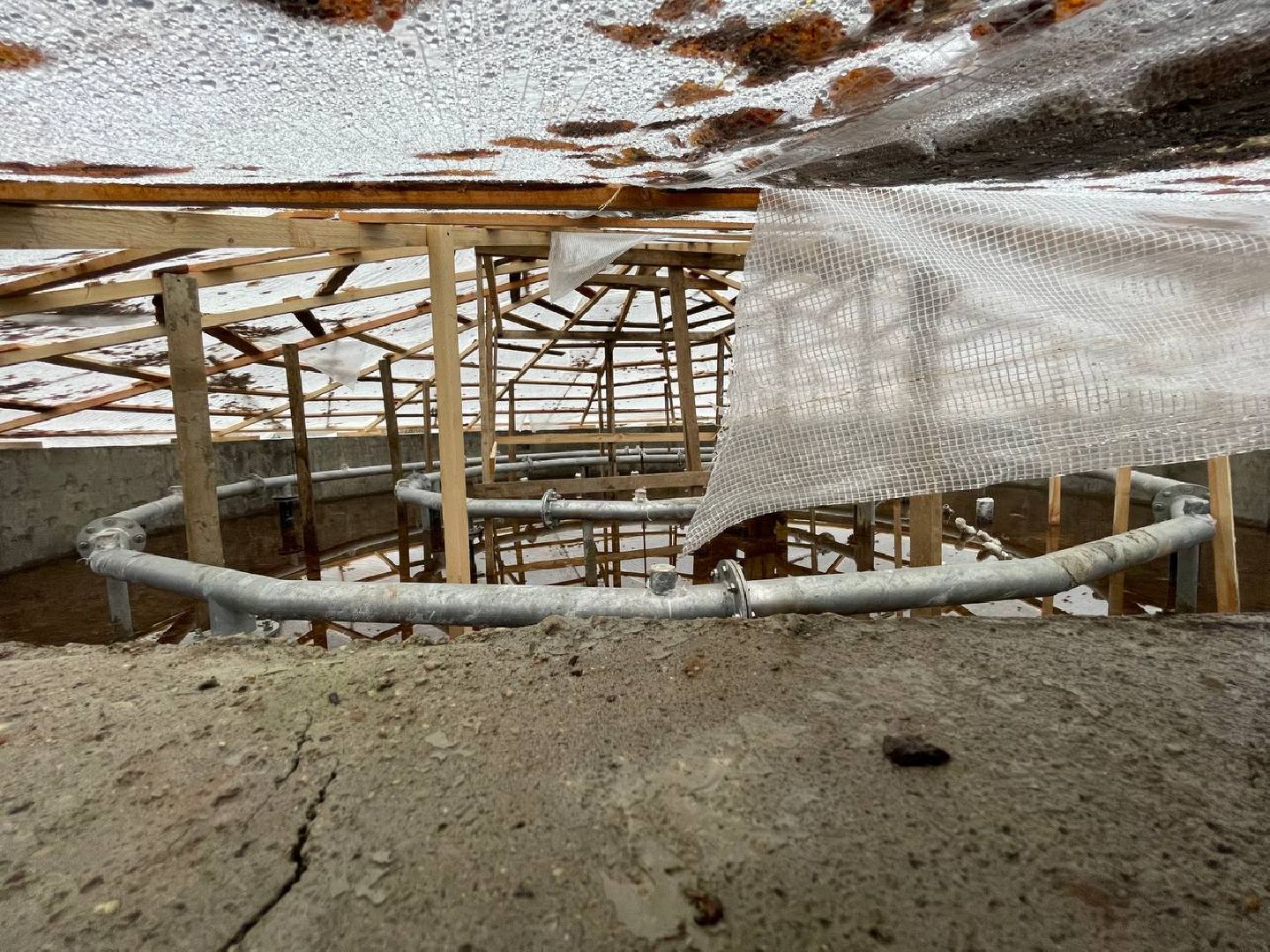 Дмитров, Парк Березовая роща, Минблаго, вертикалки