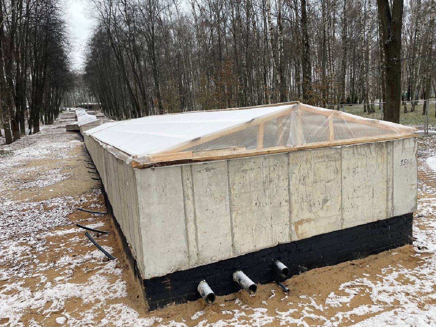 Дмитров, Парк Березовая роща, Минблаго, вертикалки