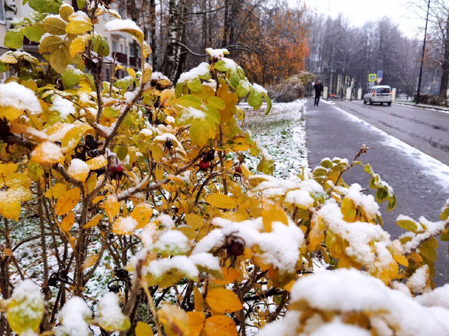 Коммунальные службы, ЖКХ, Уборка снега, Снегопад, вертикалки,