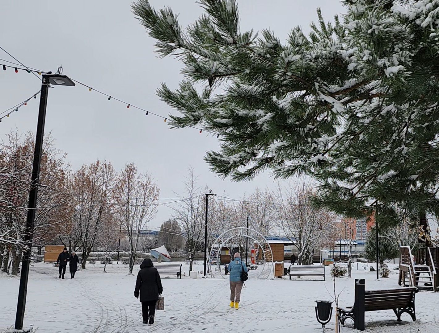 Дубна, Снегопад, снег, Погода, вертикалки,