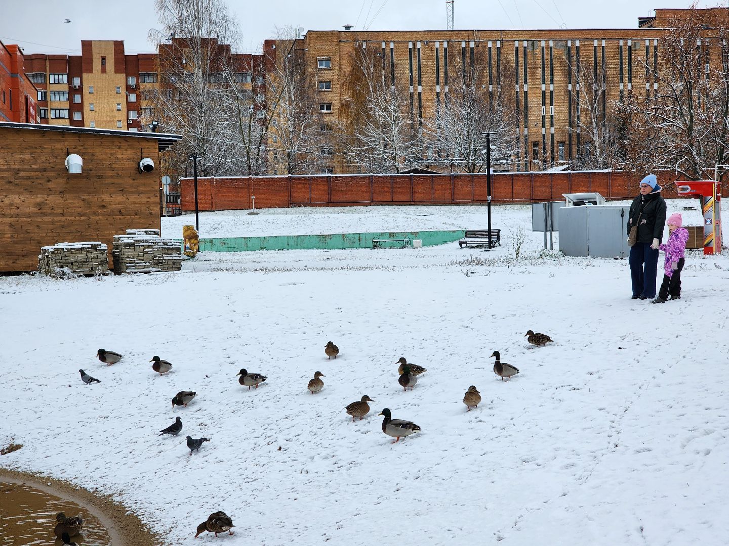 Дубна, Снегопад, снег, Погода, вертикалки,