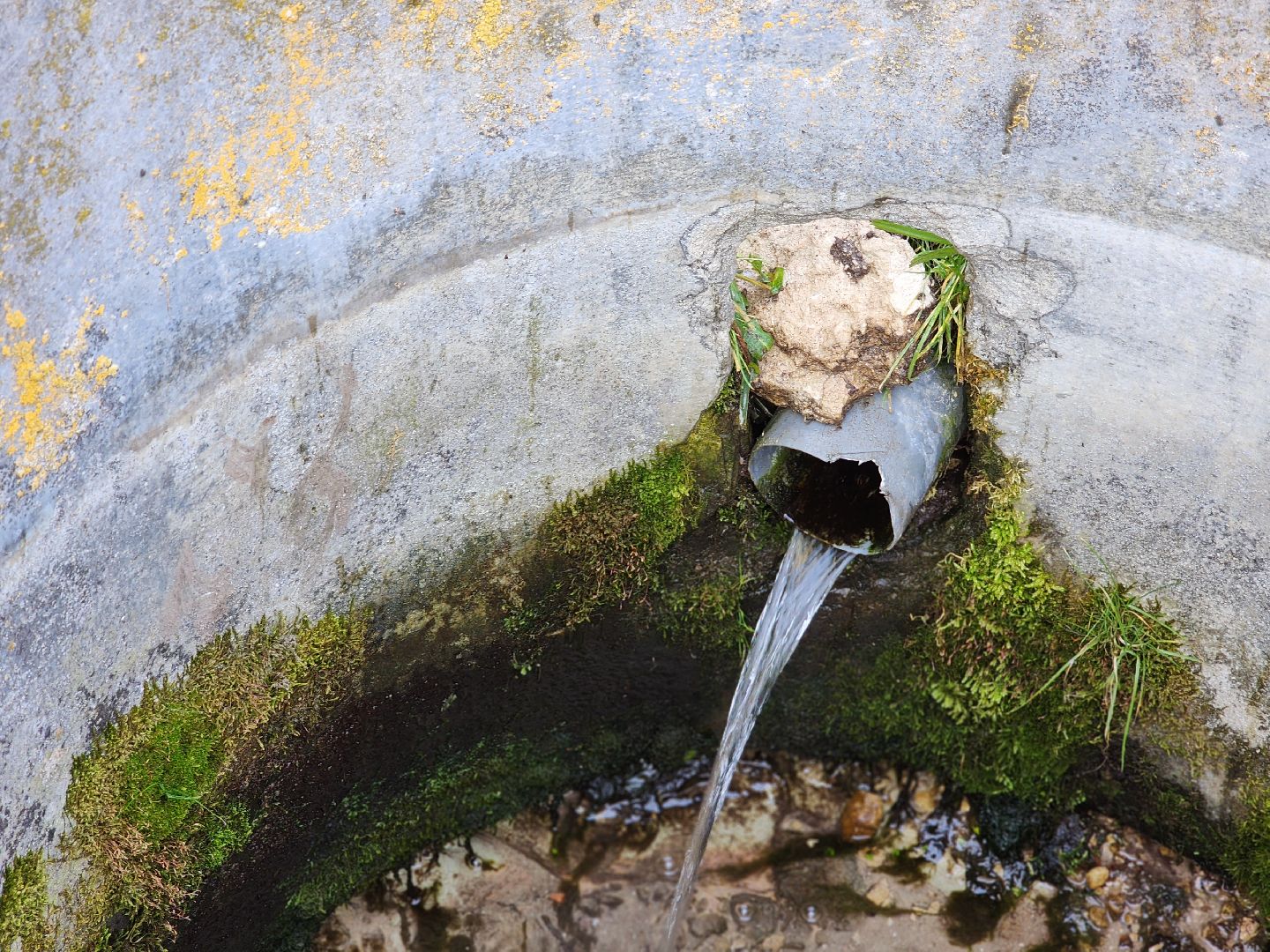 воскресенск, благоустройство, родник, вертикалки,