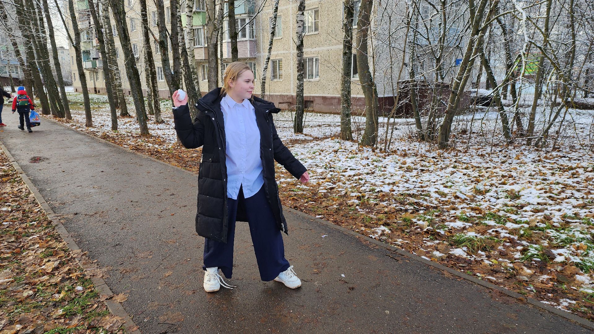 Солнечногорск, Вериикалки, Уборка снега, Снегопад, ЖКХ,