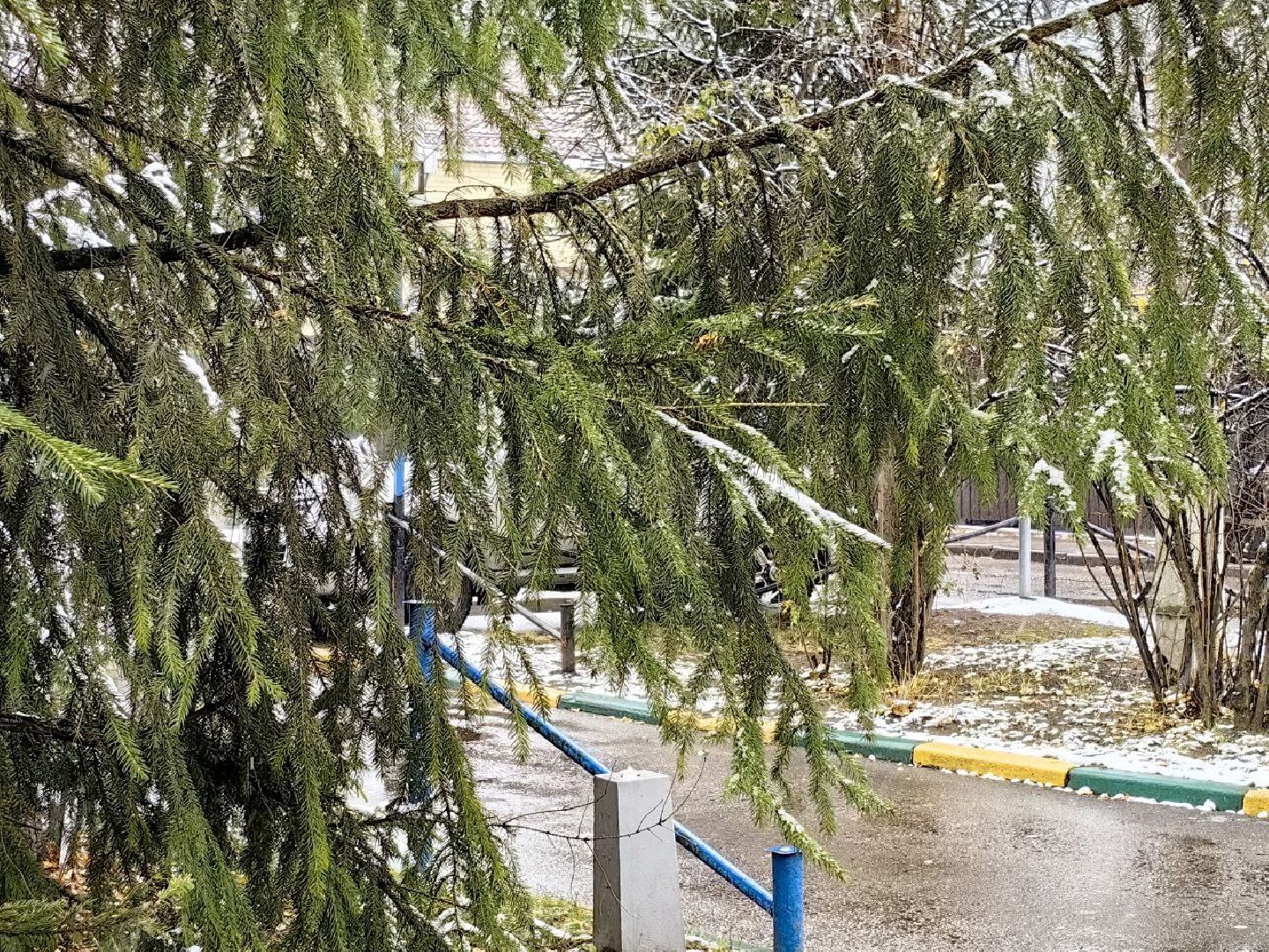 снег, непогода, осадки, снежный покров, вертикалки