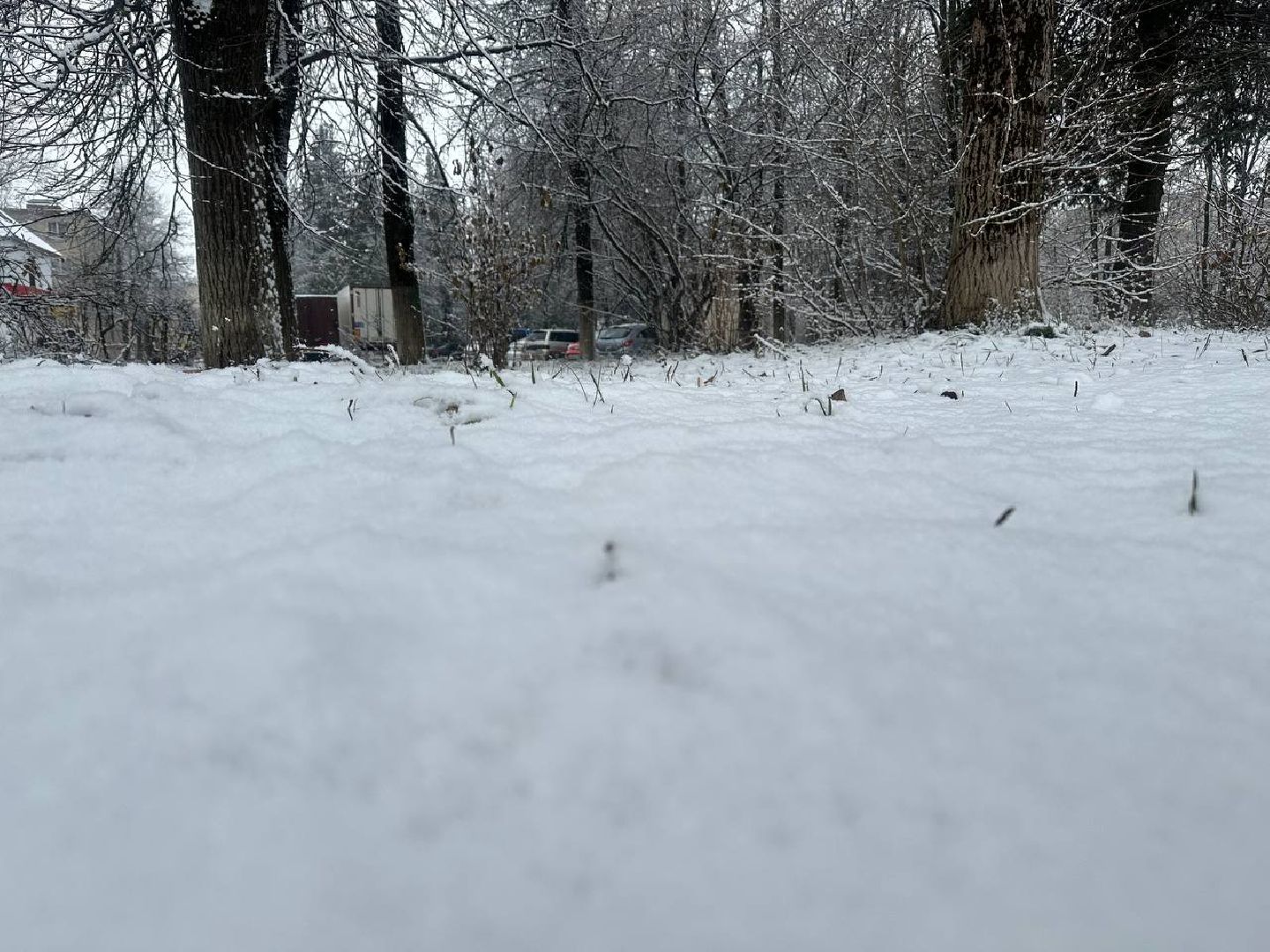 уборка снега, после снегопада, домодедедово,