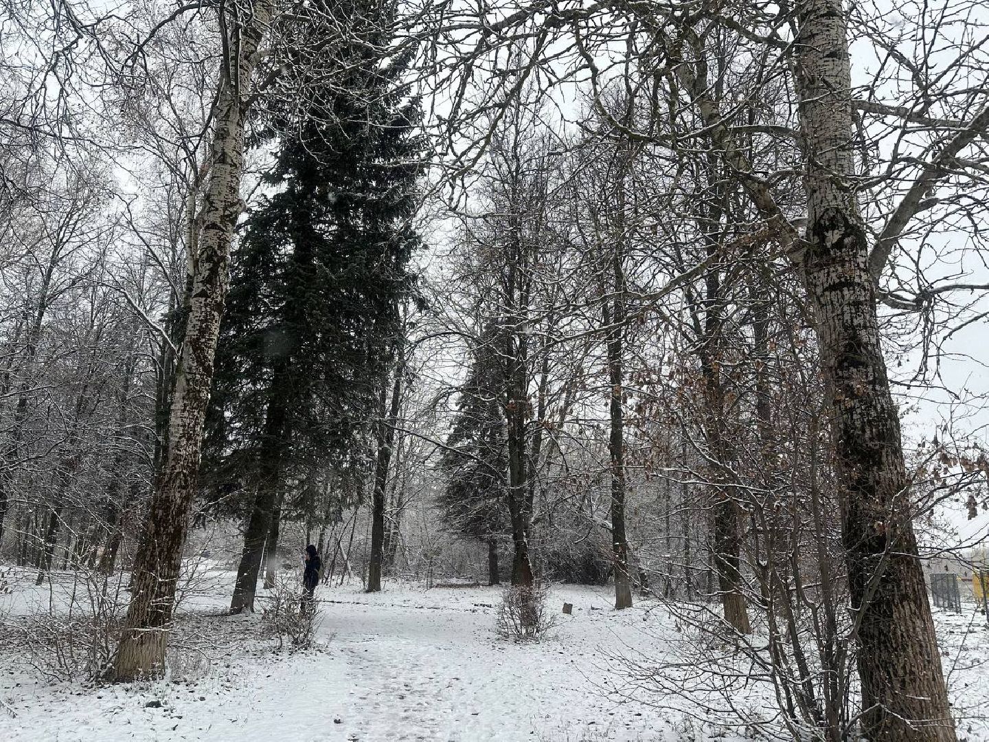 уборка снега, после снегопада, домодедедово,