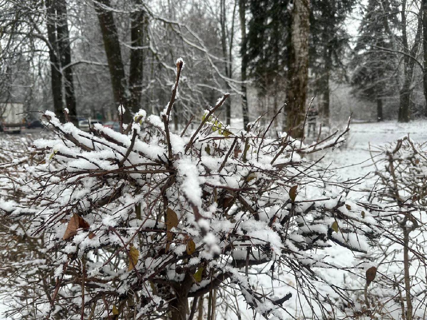 уборка снега, после снегопада, домодедедово,