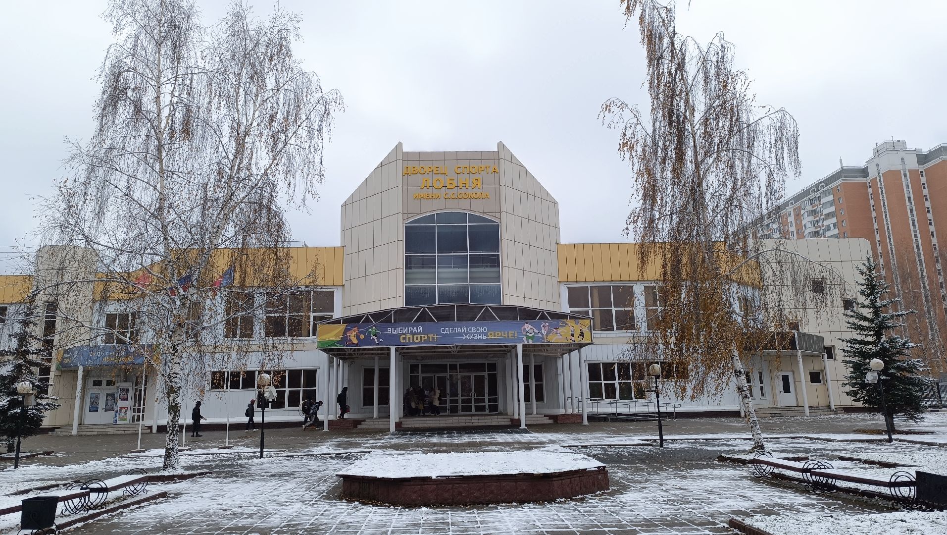 снег, лобня, снегопад, вертикалки,