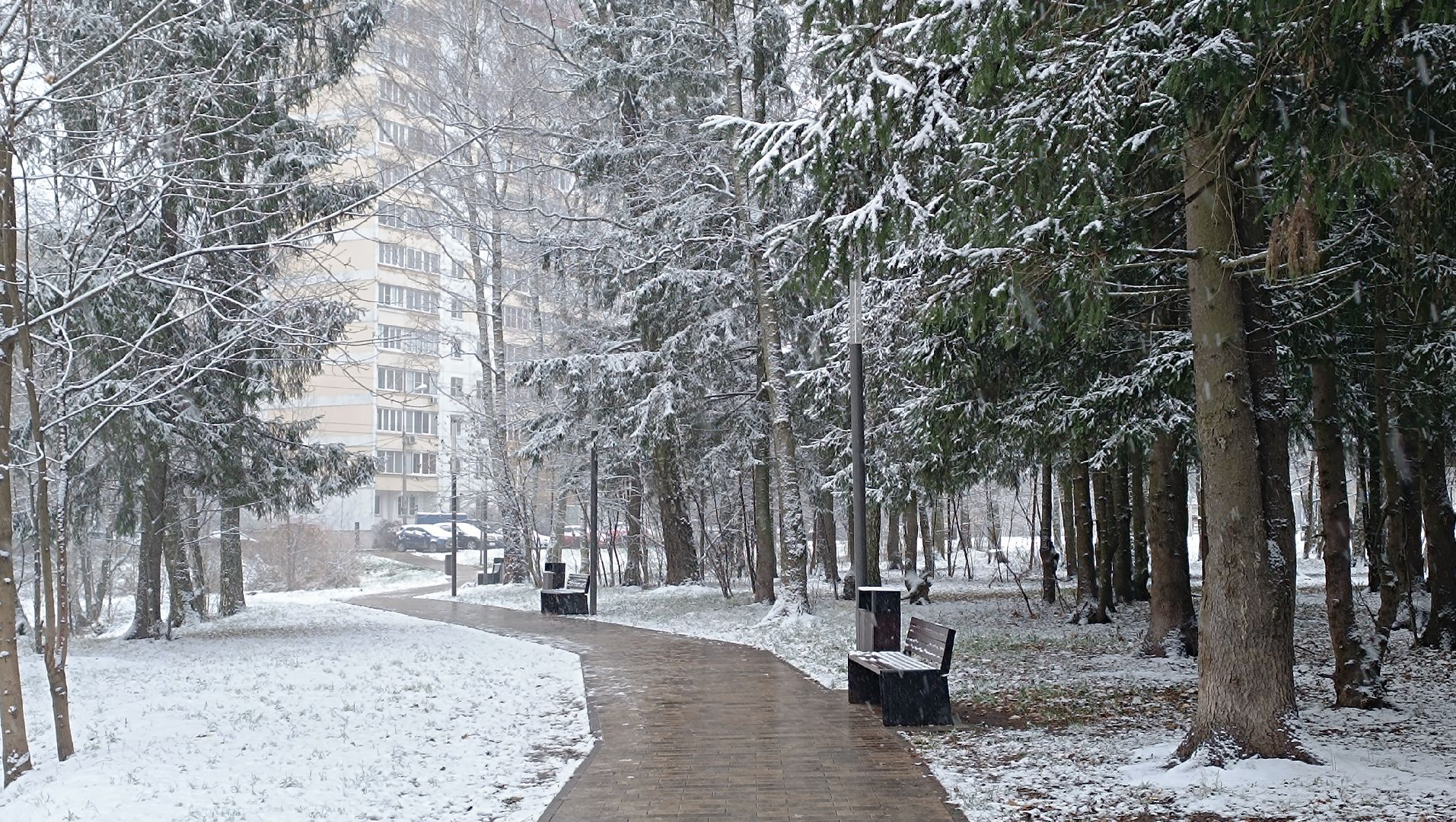 снег, лобня, снегопад, вертикалки,