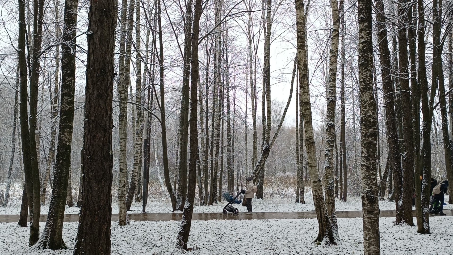 снег, лобня, снегопад, вертикалки,