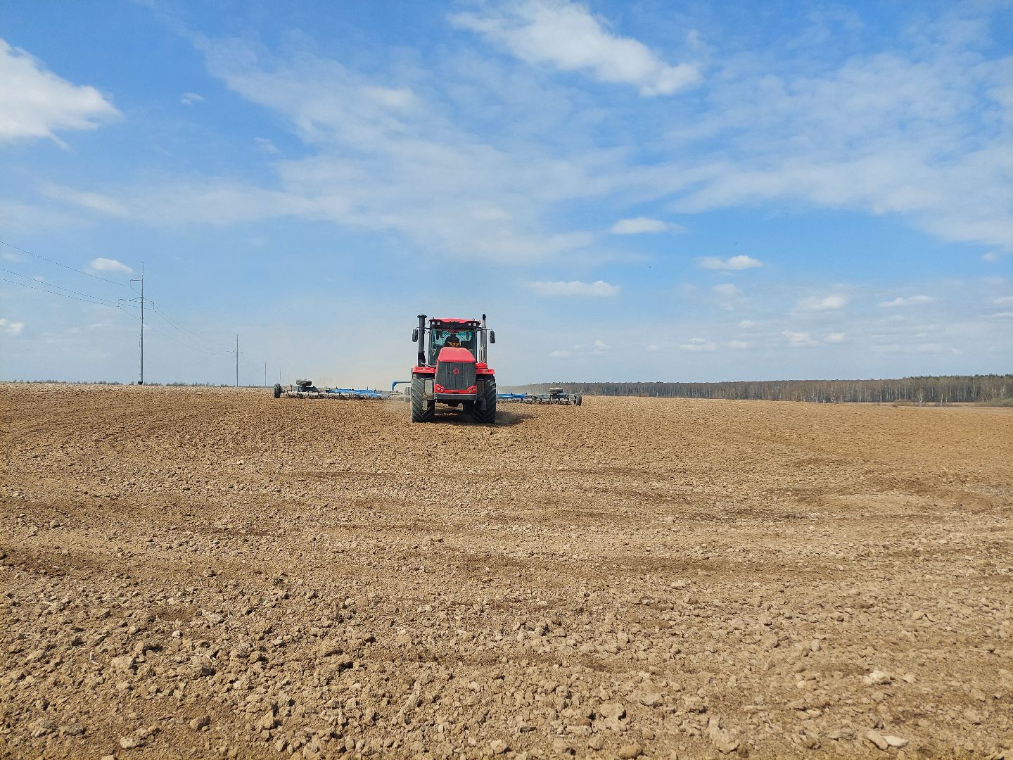 экономика, сельское хозяйство