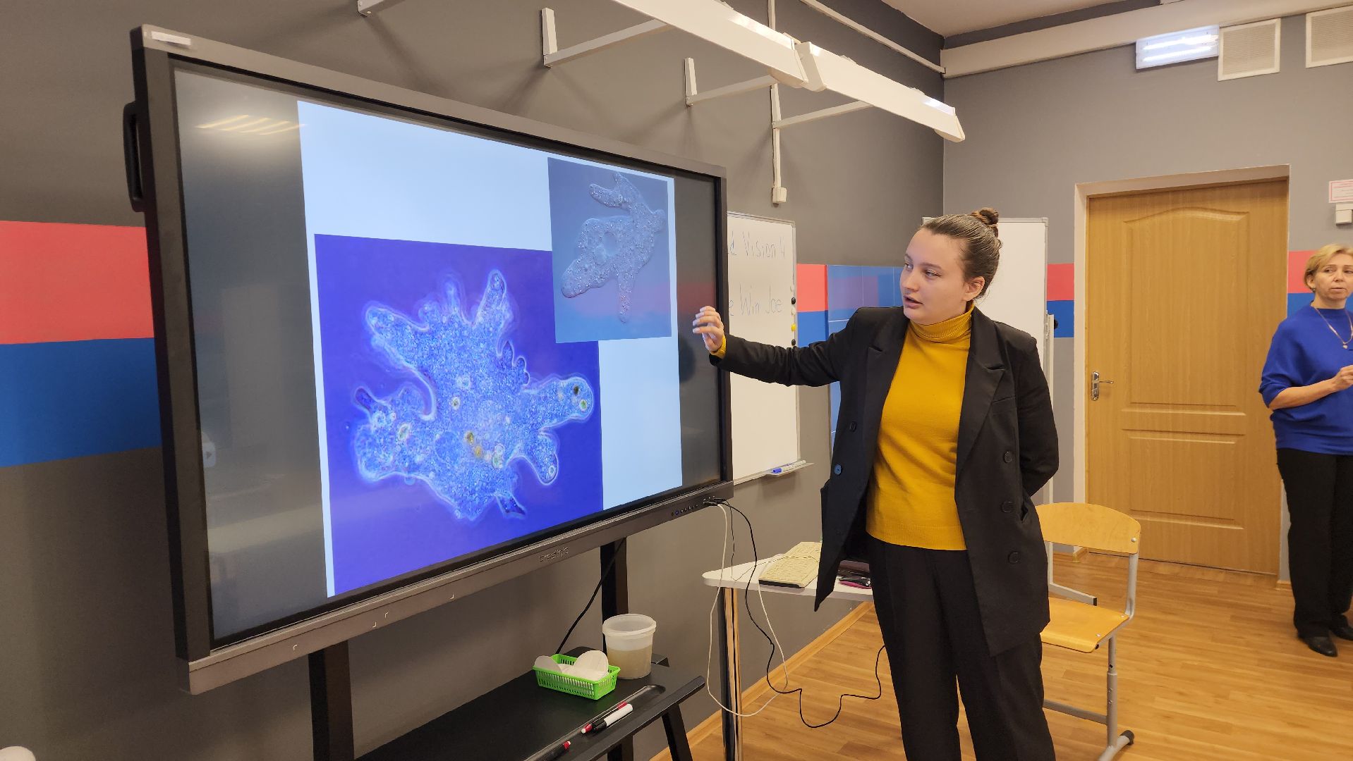 вертикалки, пушкино, школа, образовательный центр, цифровые технологии, точка роста, учителя, школьники,биология,