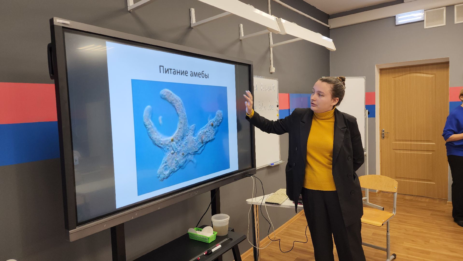 вертикалки, пушкино, школа, образовательный центр, цифровые технологии, точка роста, учителя, школьники,биология,