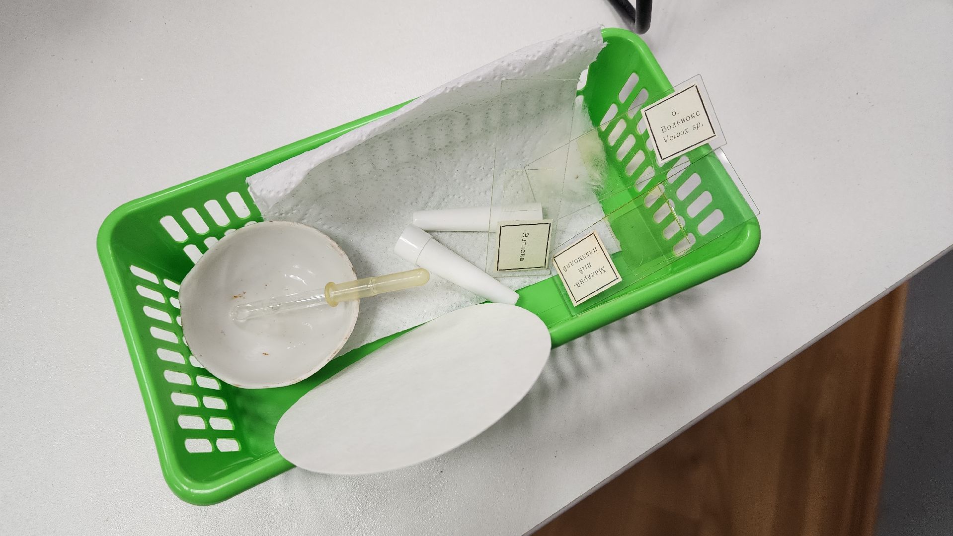 вертикалки, пушкино, школа, образовательный центр, цифровые технологии, точка роста, учителя, школьники,биология,