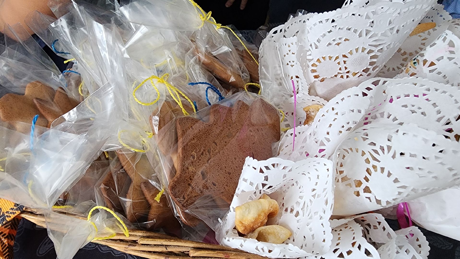 Солнечногорск, вертикалки, лицей 8, благотворительность, благотворительная ярмарка,