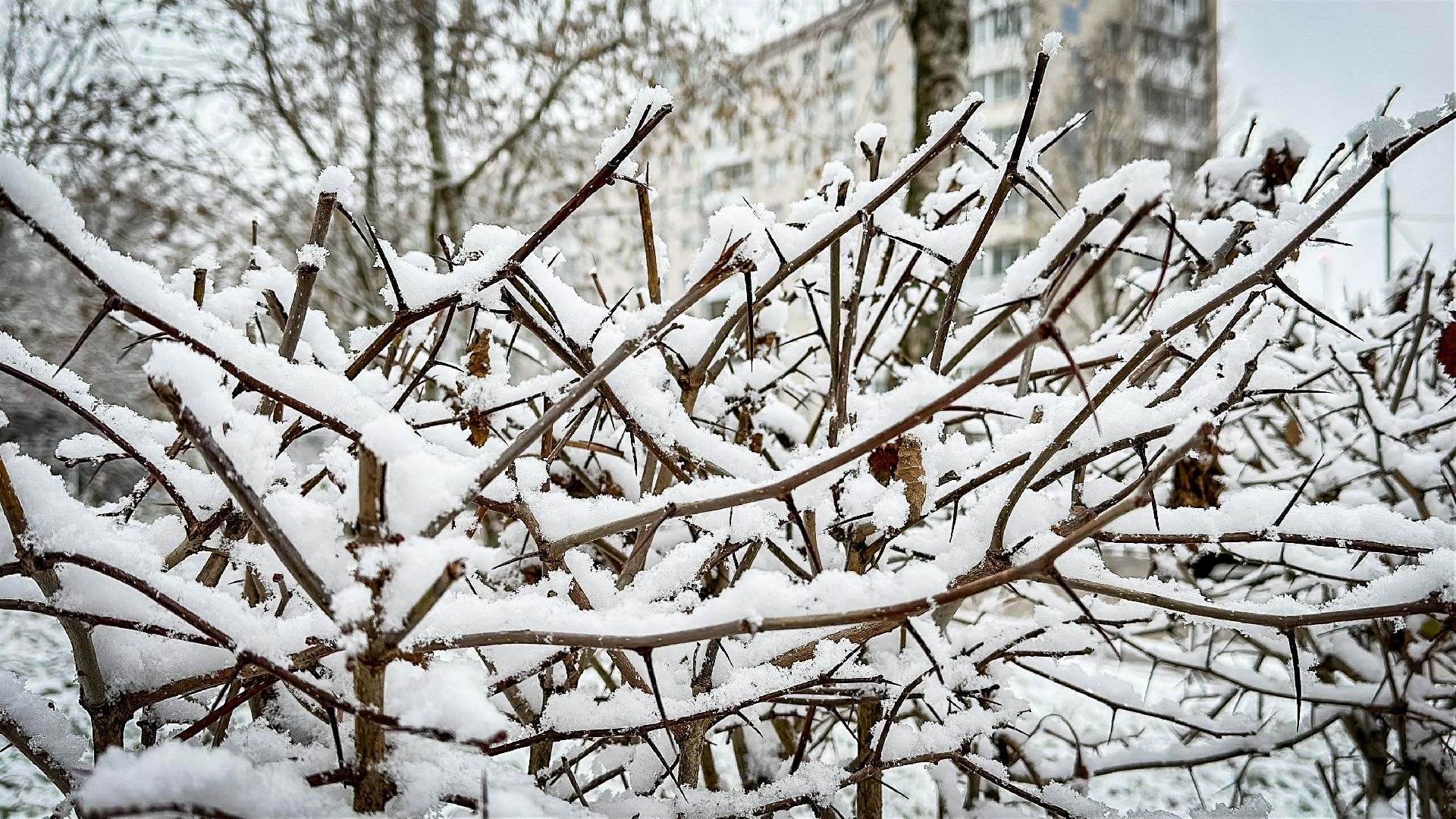 Клин, общество, ЖКХ, благоустройство, вертикалки,