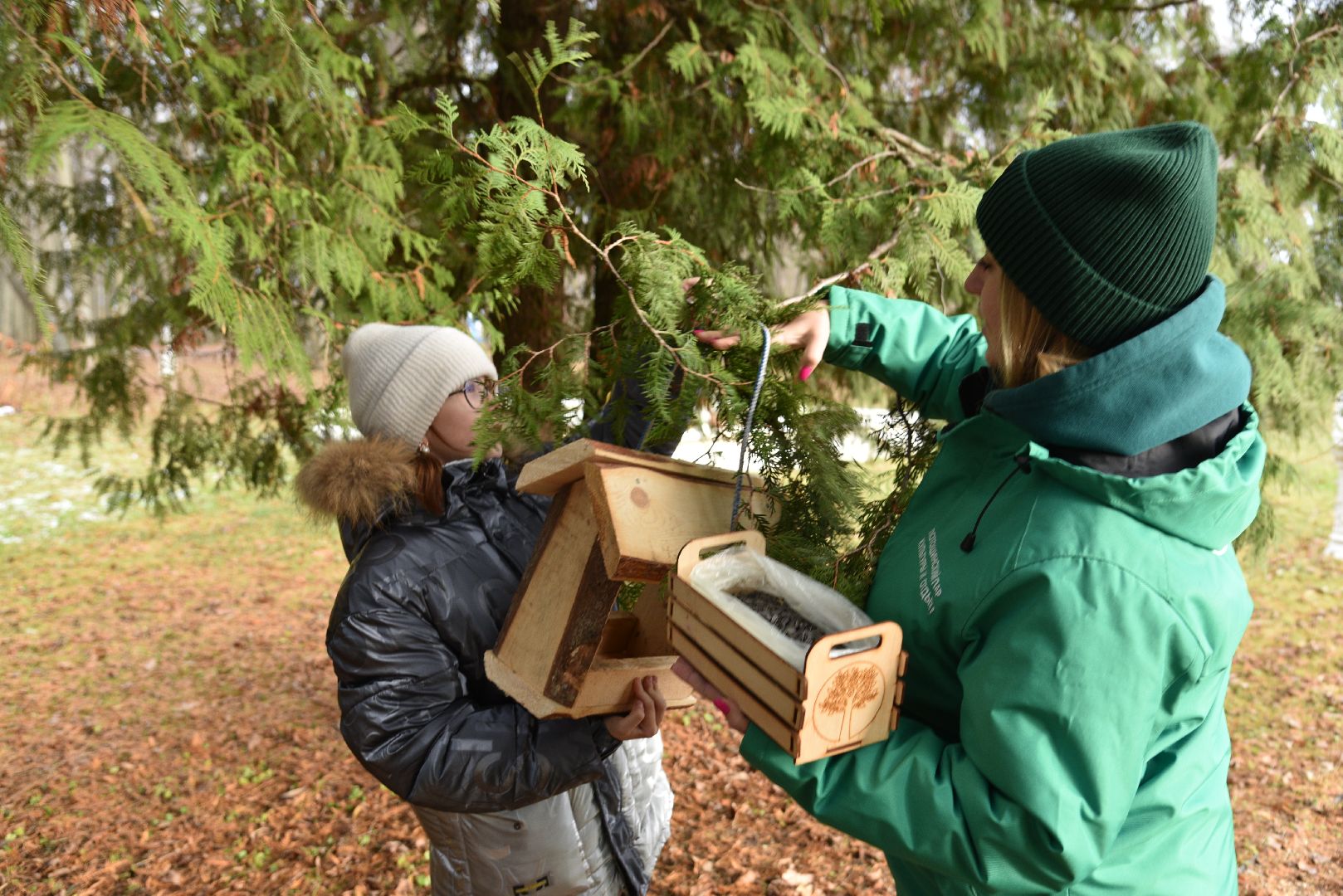 лотошино, лотошинский парк, птицы, твори добро, акция, парки подмосковья,