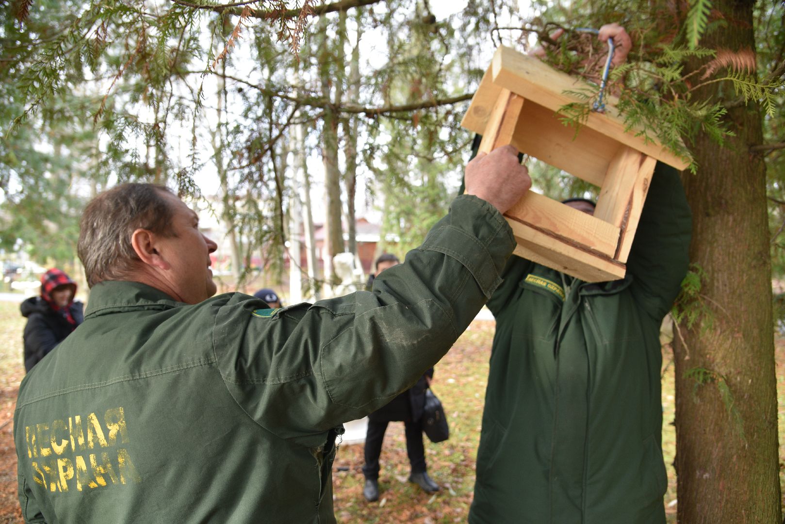 лотошино, лотошинский парк, птицы, твори добро, акция, парки подмосковья,