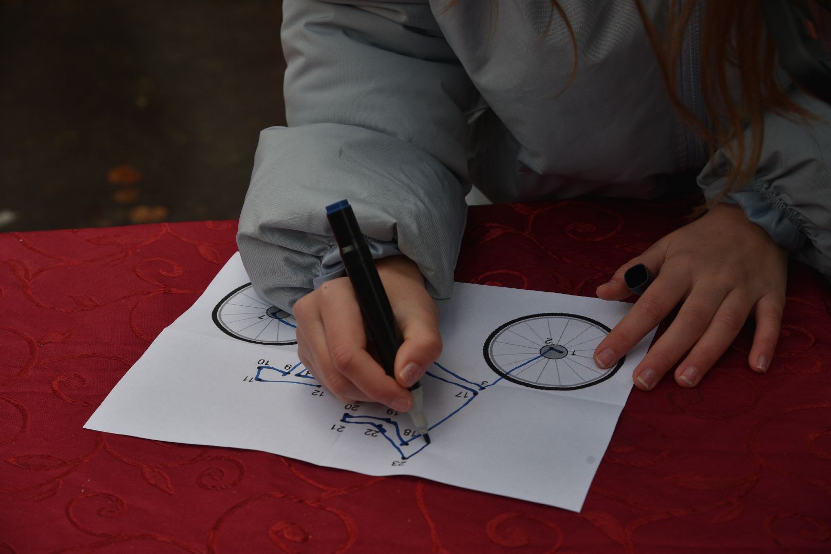 лотошино, лотошинский парк, птицы, твори добро, акция, парки подмосковья,