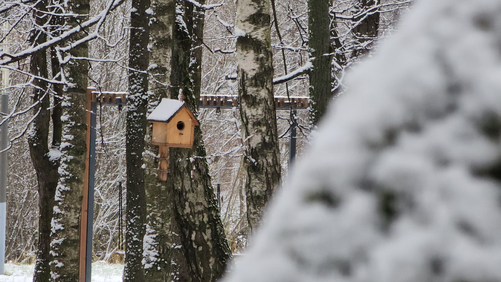 Снег, снегопад, Уборка снега, вертикалки,