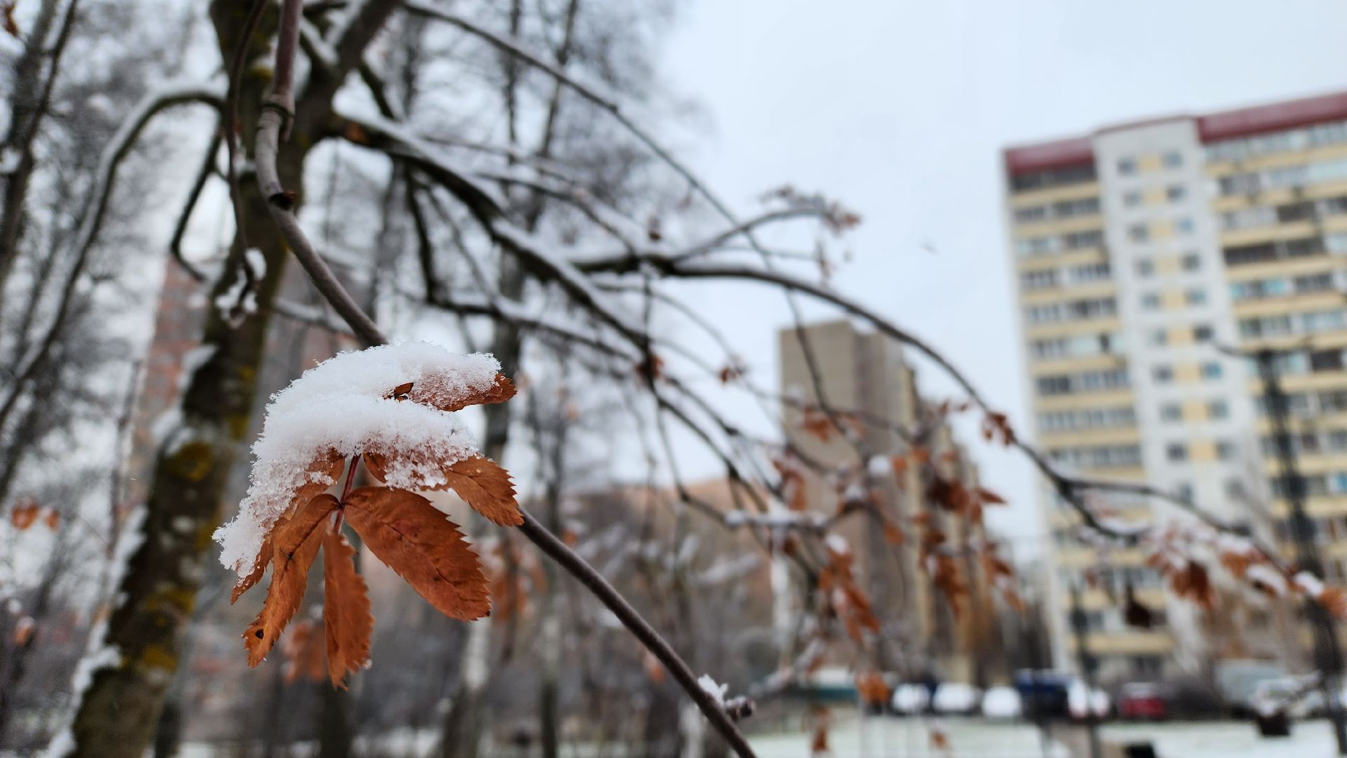 Снег, снегопад, Уборка снега, вертикалки,