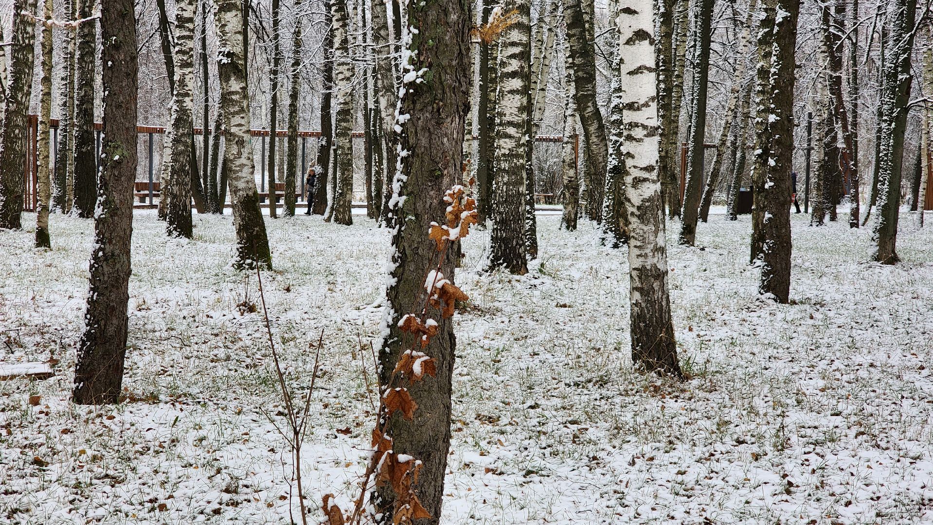 Снег, снегопад, Уборка снега, вертикалки,