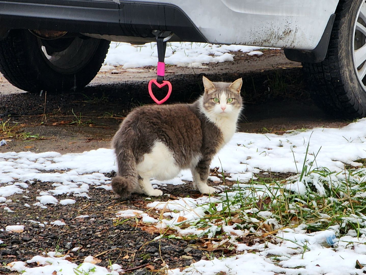 Снег, снегопад, Уборка снега, вертикалки,