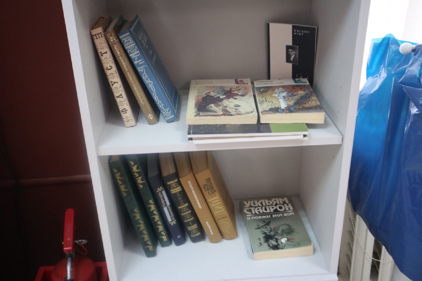 Пущино, буккроссинг, экология