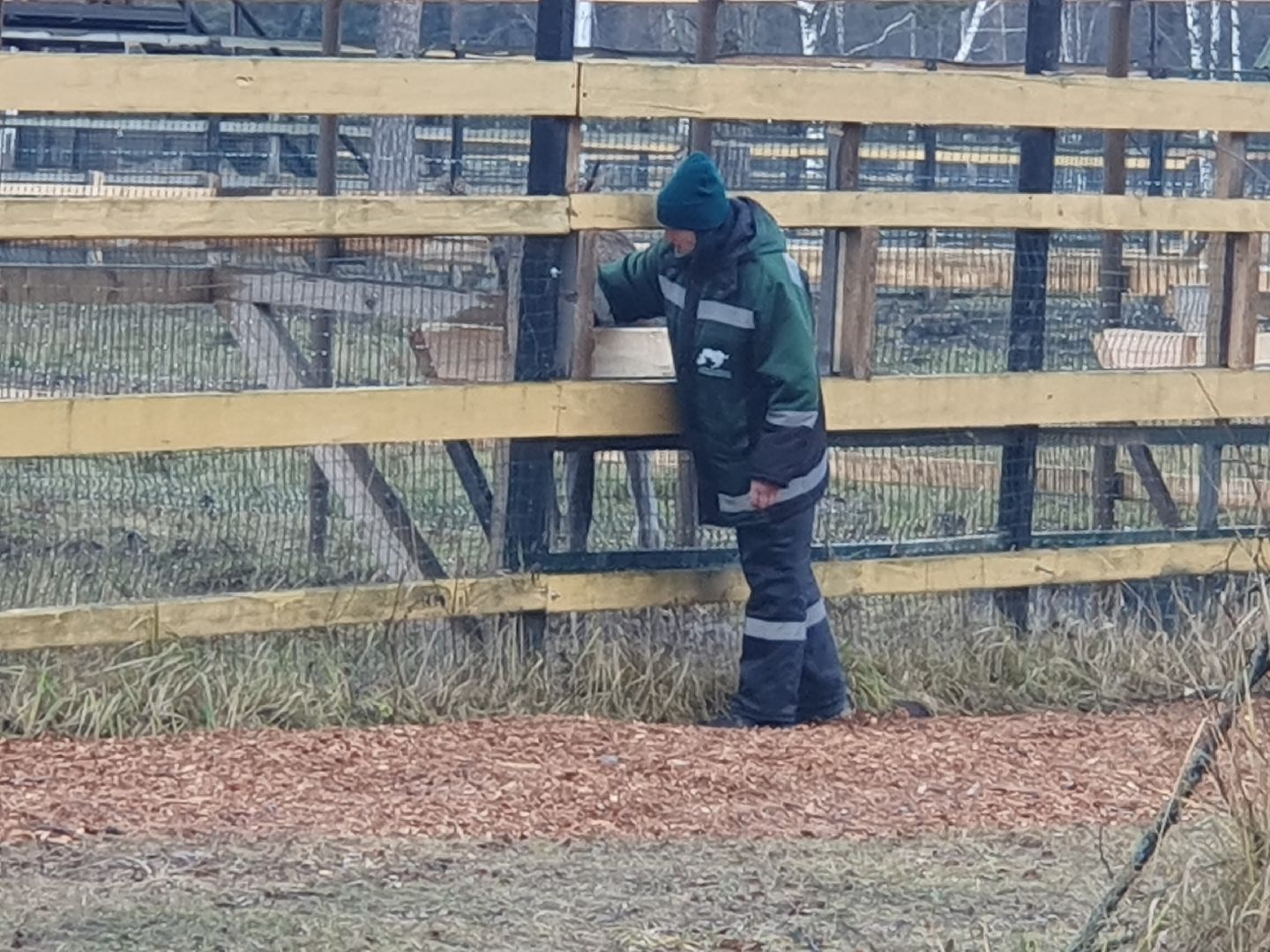 вертикалки, лосиный остров,