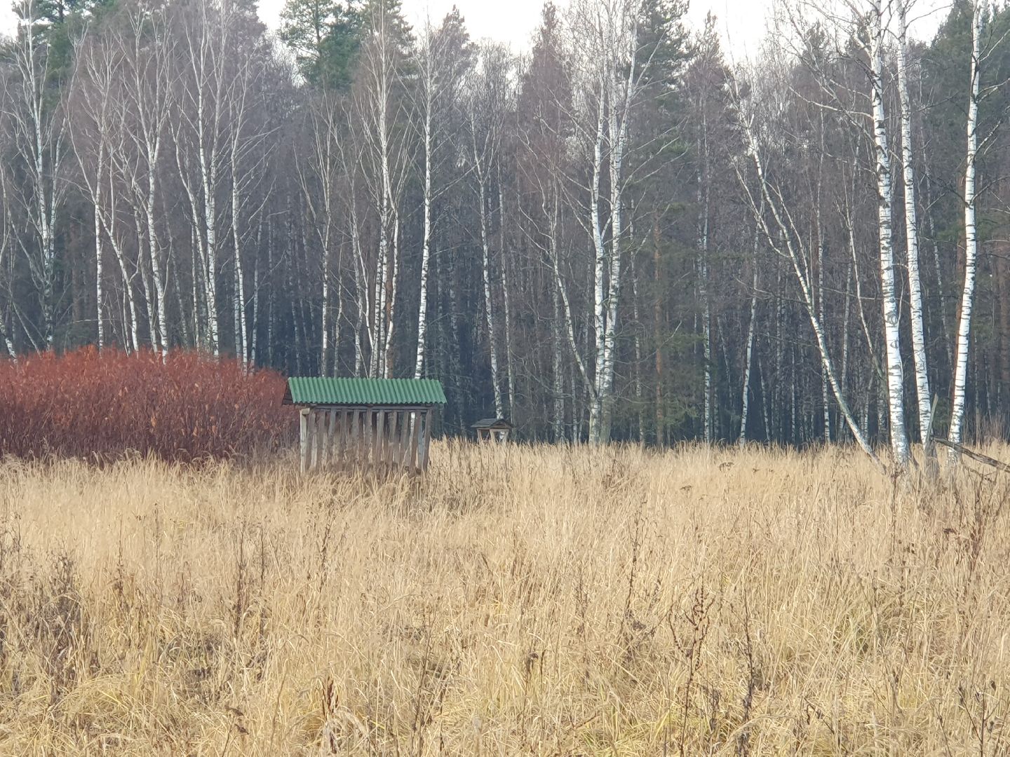 вертикалки, лосиный остров,