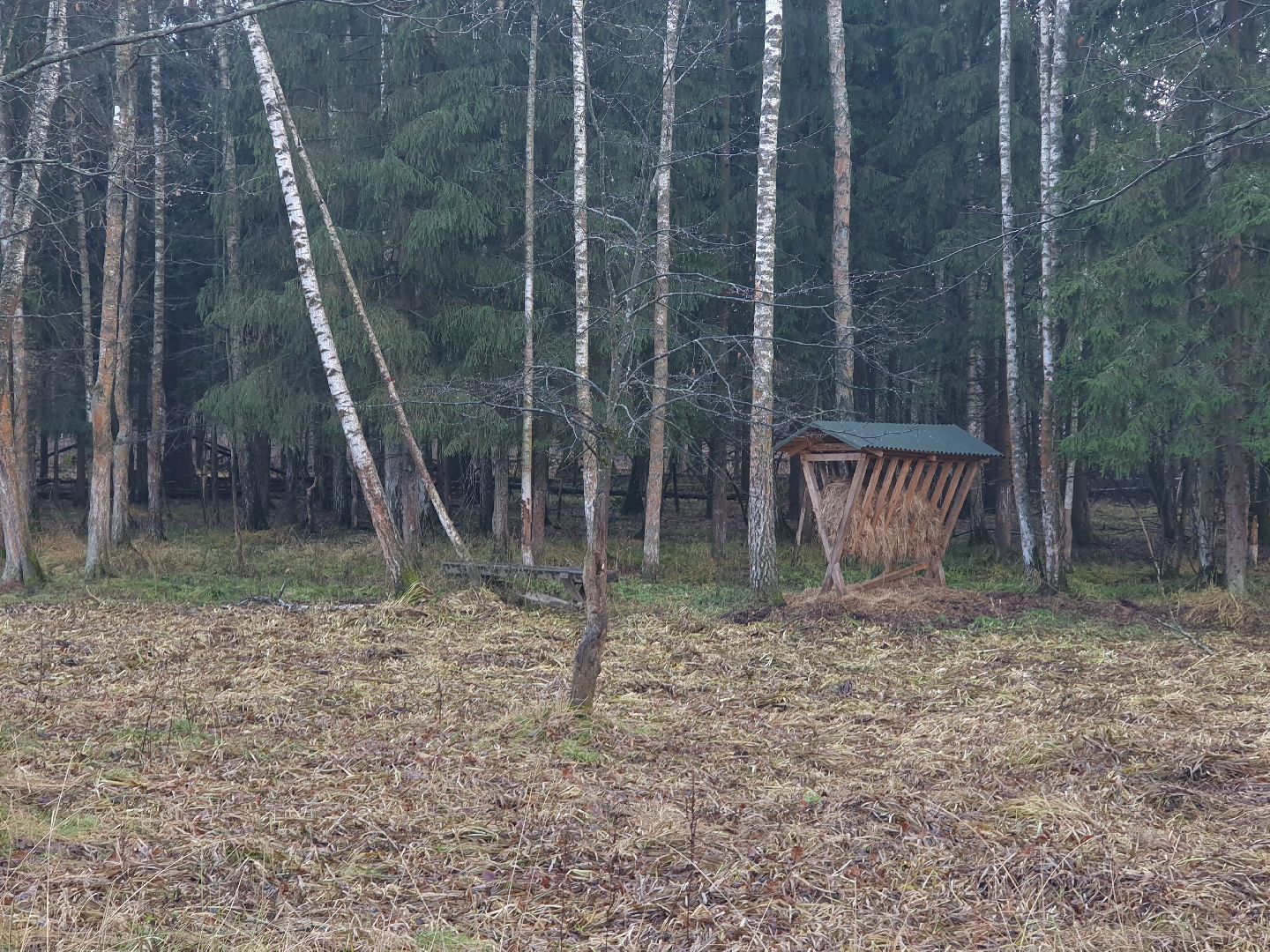 вертикалки, лосиный остров,