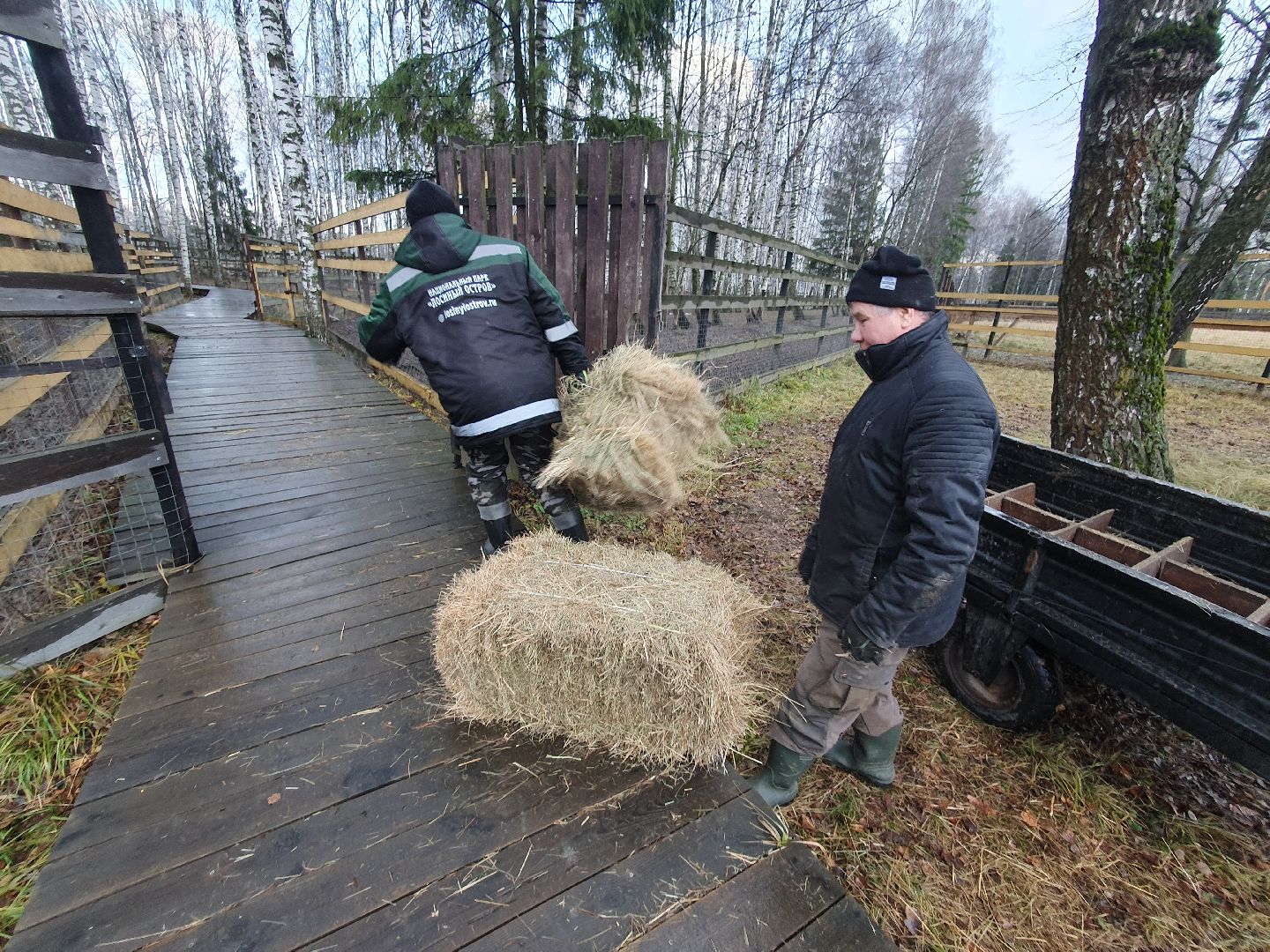 вертикалки, лосиный остров,