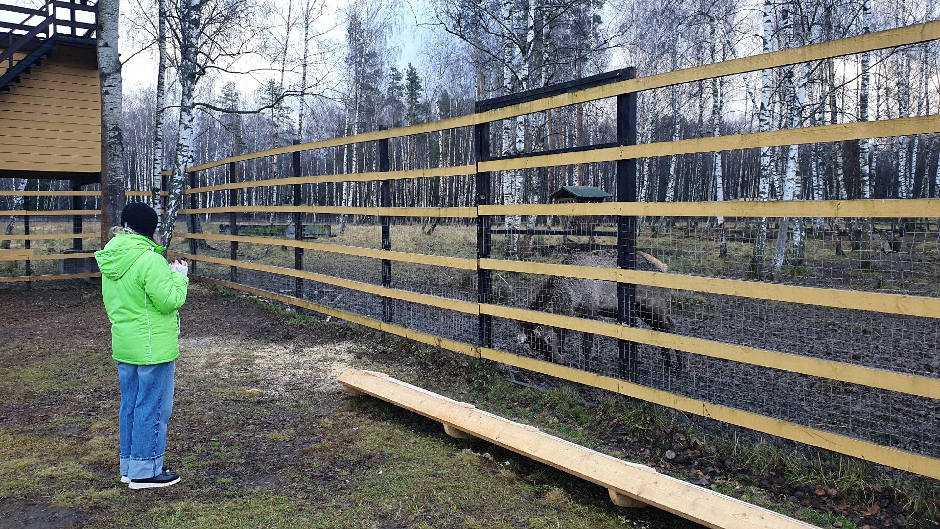 вертикалки, лосиный остров,