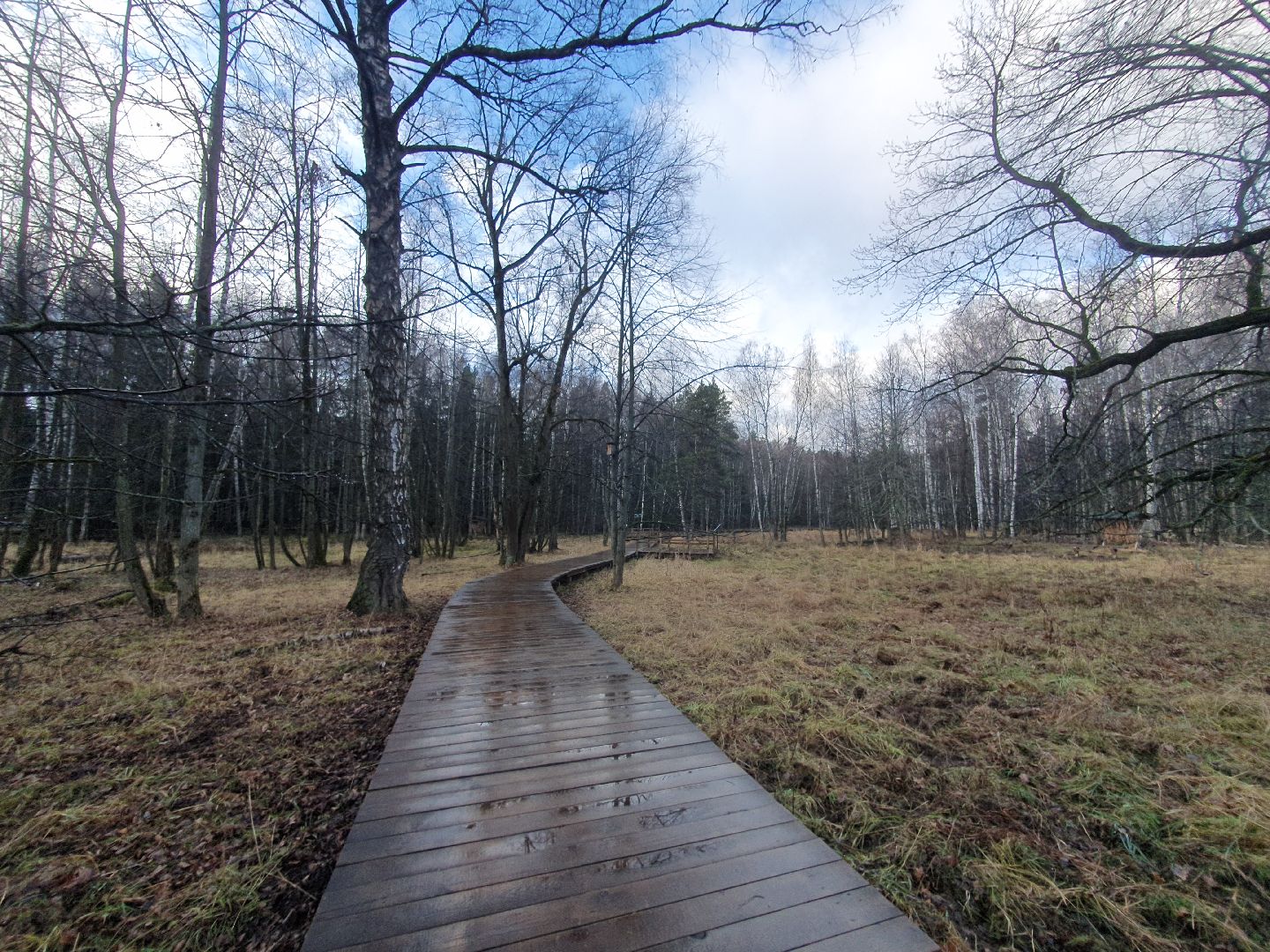 вертикалки, лосиный остров,