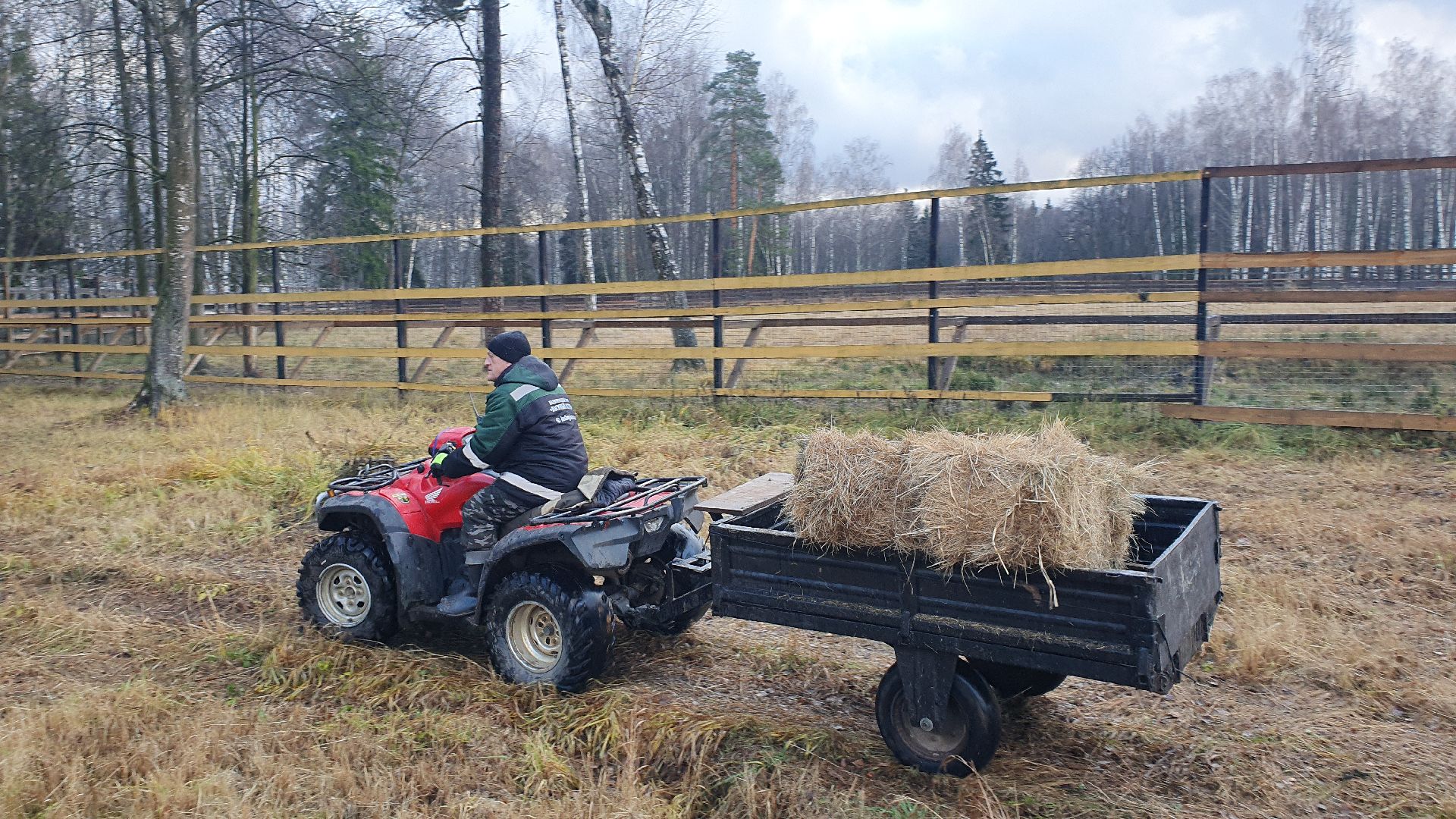 вертикалки, лосиный остров,