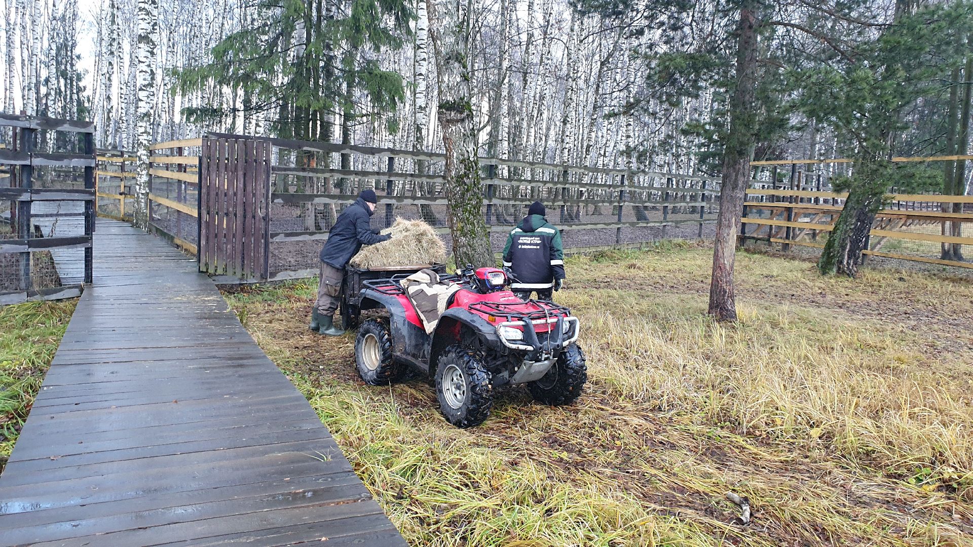 вертикалки, лосиный остров,