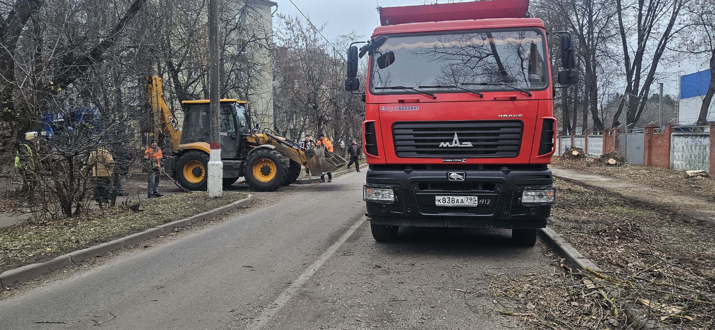 коммунальное хозяйство, аварийные деревья, жуковский,