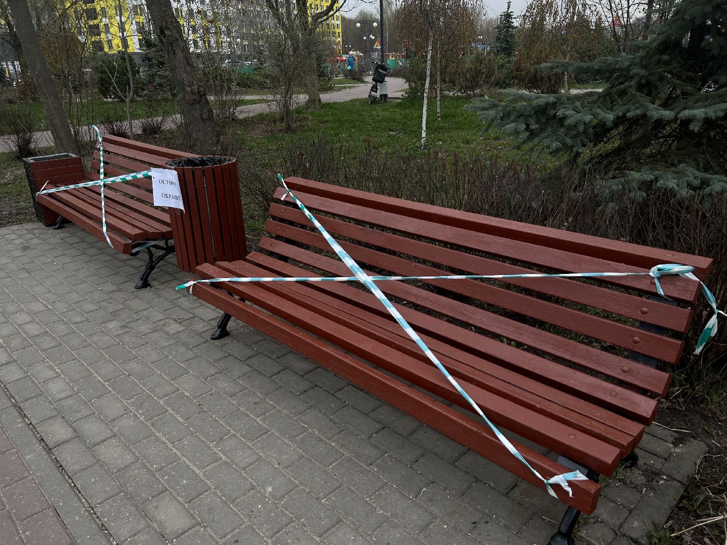 Химки, Эко-Берег, благоустройство, парк, месяц благоустройства