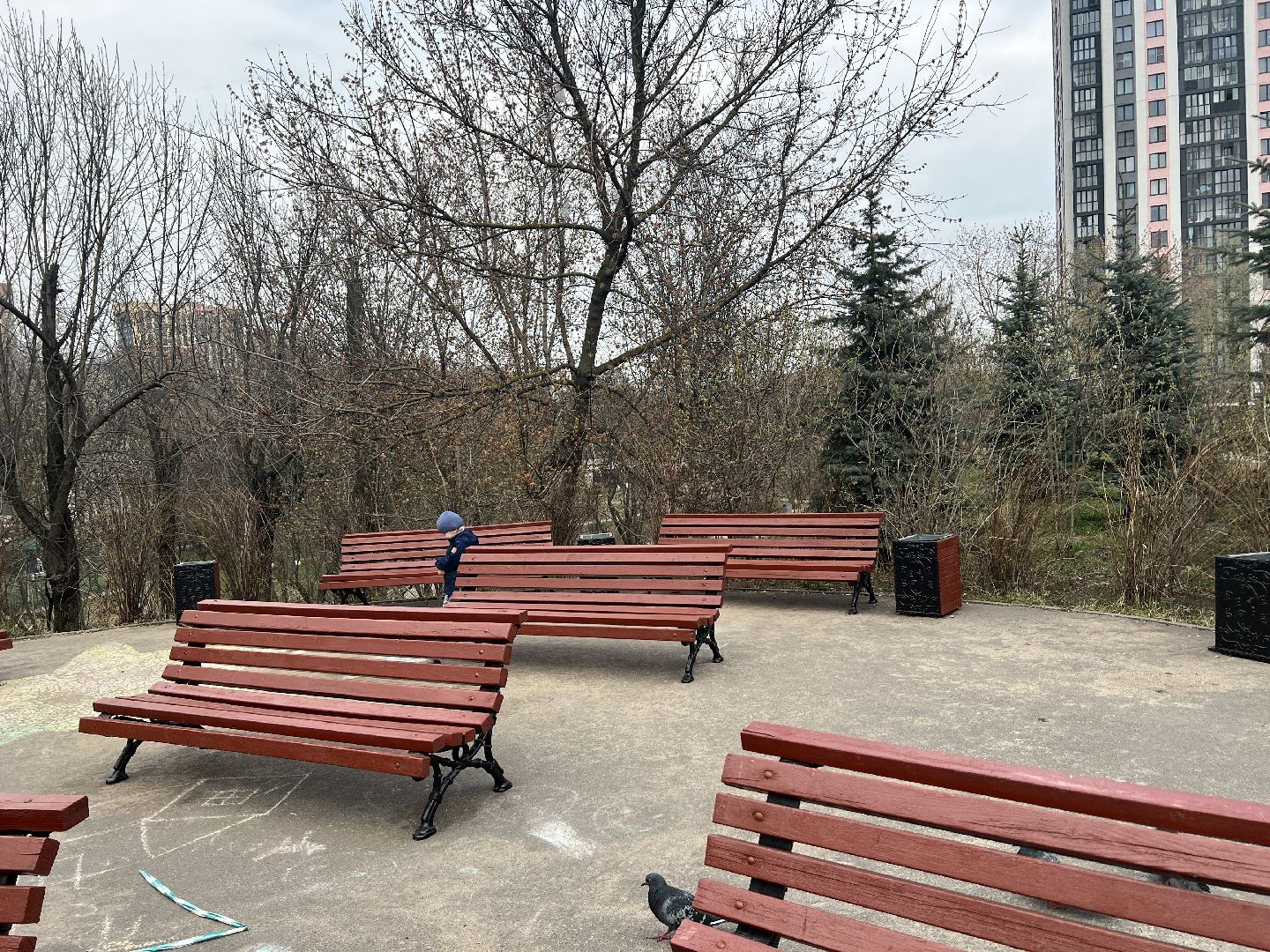 Химки, Эко-Берег, благоустройство, парк, месяц благоустройства